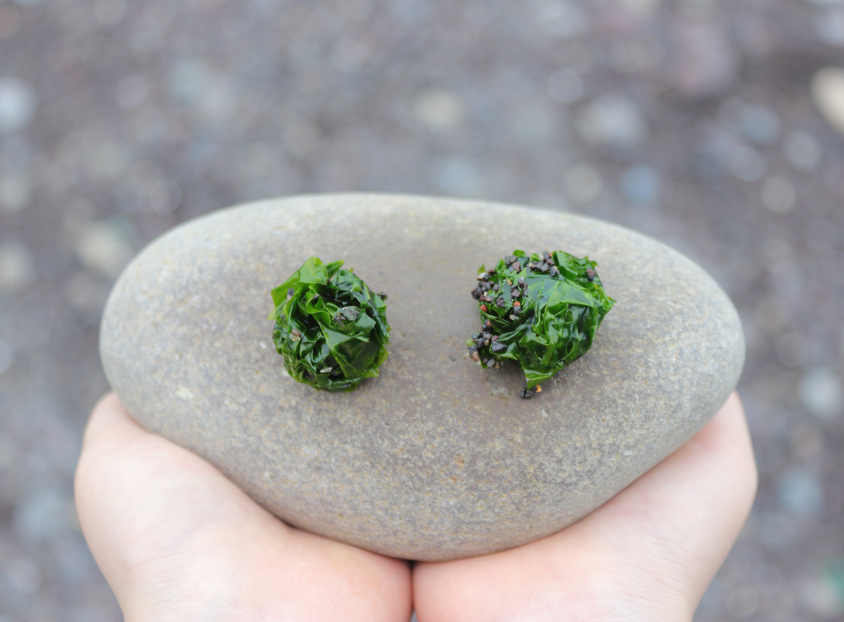 stone-bowl.png